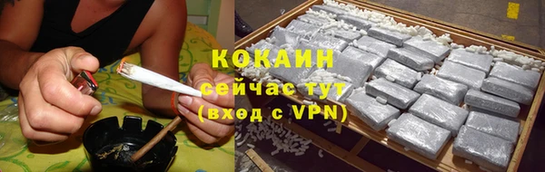 шишки Новозыбков