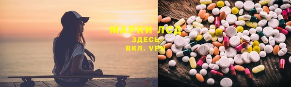 шишки Новозыбков
