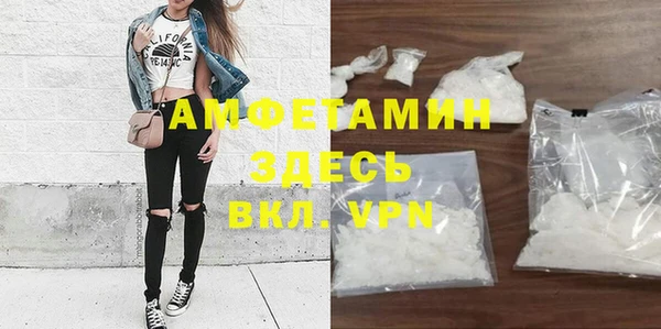 шишки Новозыбков