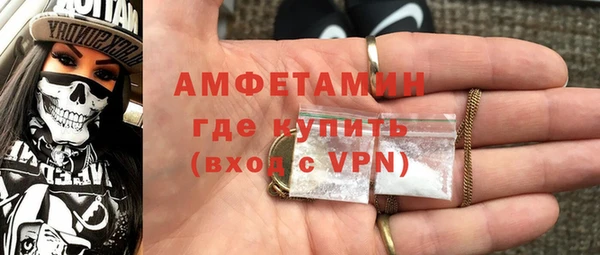 шишки Новозыбков