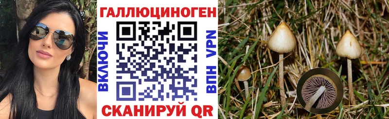 Галлюциногенные грибы Psilocybine cubensis  KRAKEN зеркало  Хадыженск 
